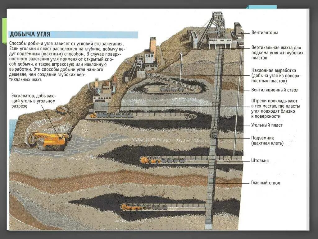 Какое полезное ископаемое залегает. Строение Шахты по добыче угля. Схема угольной Шахты в разрезе. Схема Шахты по добыче руды. Схема Шахты добычи угля.