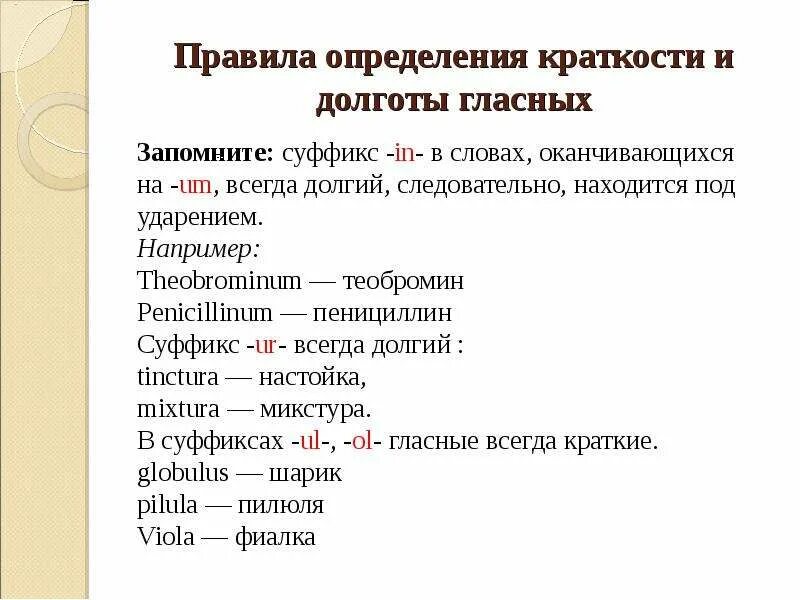 Ударение в латинском языке. Правила удаления в латинском. Ударения в латыни правило. Ударение в латинских словах. Сообщество по латыни 10