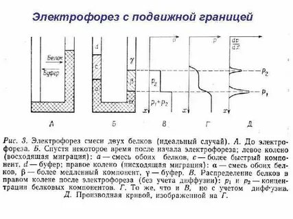 Время электрофореза