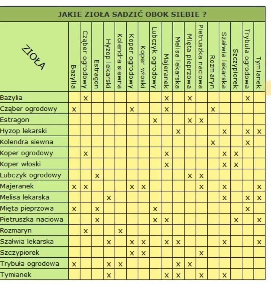 Таблица растений посадка вместе. Таблица растений отпугивающих вредителей. Совместная посадка овощей на одной грядке таблица. Современный огород смешанная посадка растений таблица. Можно сеять вместе