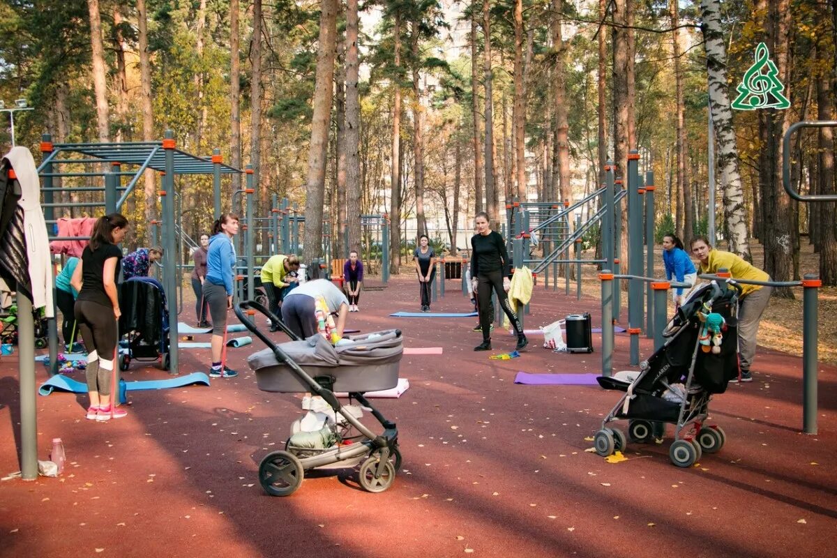 Губайловский. Экопарк Губайловский Красногорск. Парки Красногорска Экопарк. Экопарк Губайловский Красногорск тренажёры. Экопарк Губайлово Красногорск спортивная площадка.