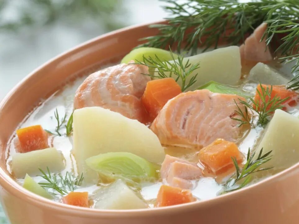 Как варить уху из красной рыбы форель. Как варить уху из красной рыбы форель