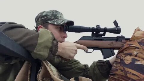 Отстрелы январь