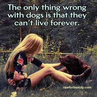 Love is dogs