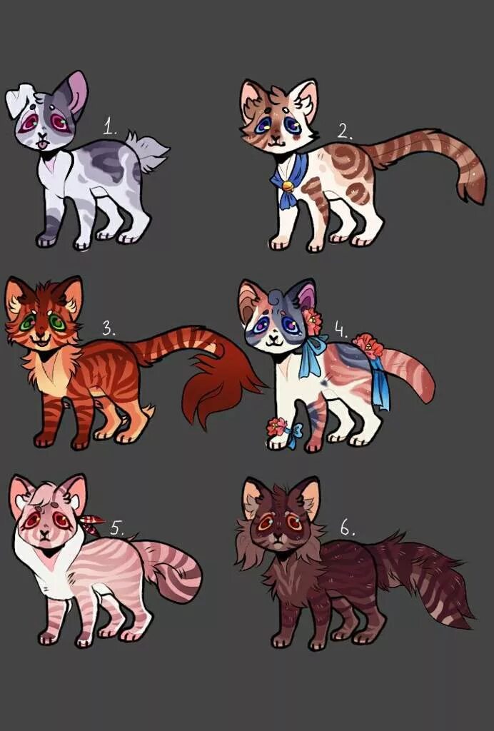 Коты воители окрасы. Амино адопты коты воители. Коты воители адопты. Коты воители ос адопты. Идеи для окраса.