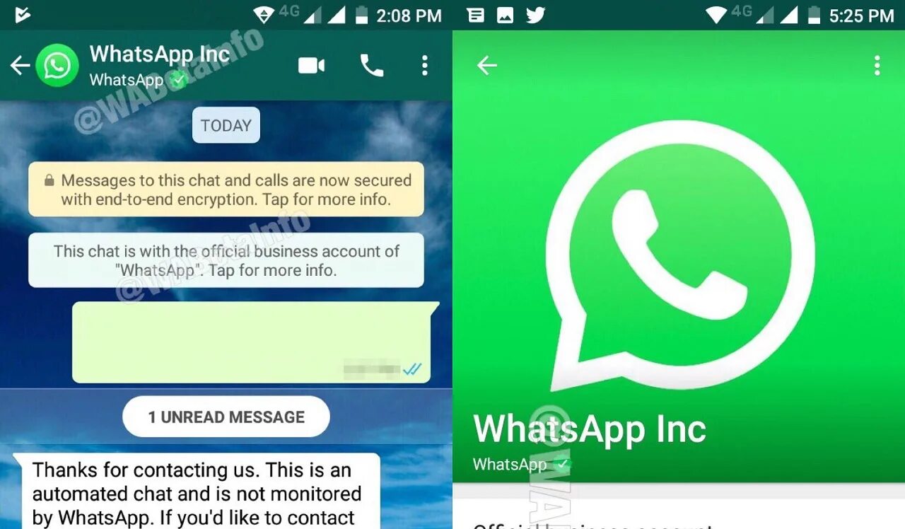 Гет ватсап. WHATSAPP контакты. Гет контакт через ватсап. Секрет номер WHATSAPP. Горячий номер ватсапа