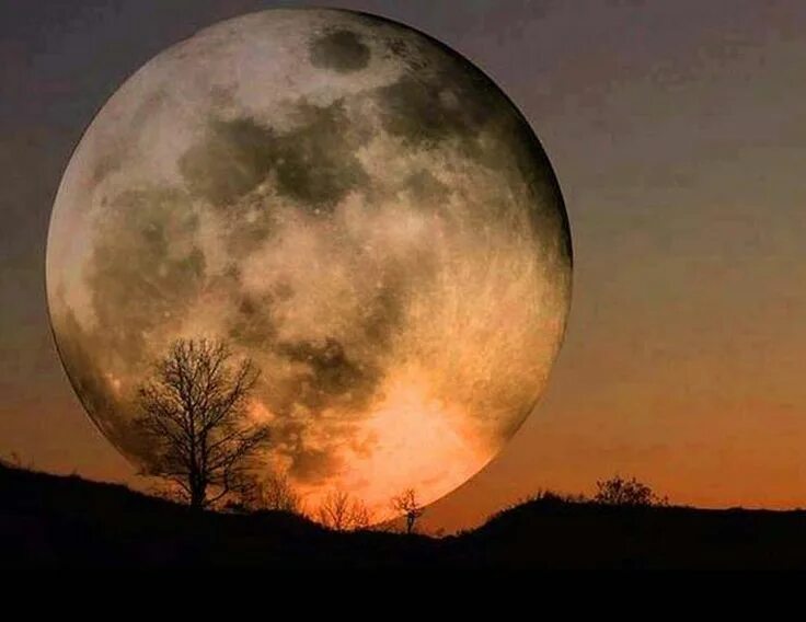 The moon is beautiful. Огромная Луна. Красивая Луна. Луна полнолуние. Красивая большая Луна.