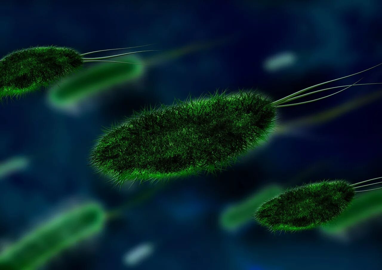 Бактерии. Бесклеточные микроорганизмы. Красивые микроорганизмы. Бактерии картинки.
