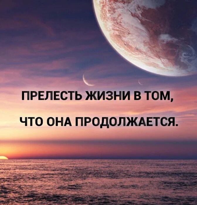 Все разнообразие вся прелесть. Прелесть жизни цитаты. прелести жизни. о прелести цитаты. все прелести жизни.