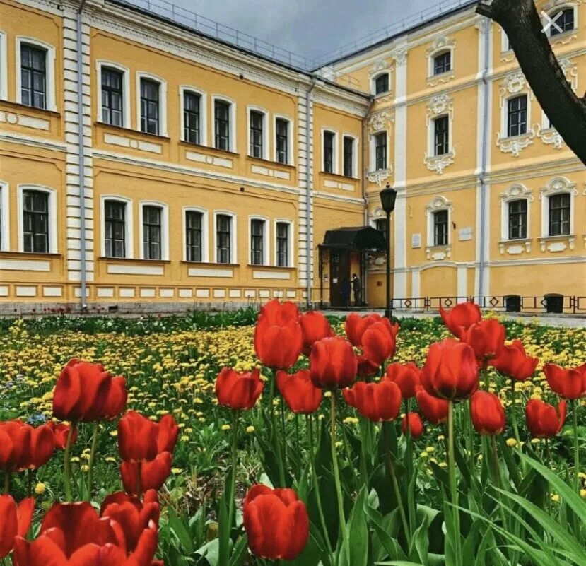 Усадьба лугининых. Дворец лугининых в туле. 1 корпус тгпу тула. тгпу им л н толстого. тгпу толстого 1 корпус.
