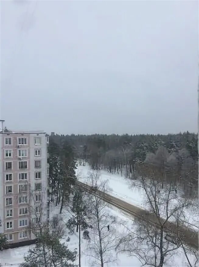 Черноголовка институтский проспект 11. Черноголовка институтский проспект 13. Черноголовка институтский проспект 3. Черноголовка институтский проспект 11. Институтский проспект черноголовка.