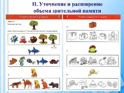 Зрительного объема