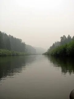 Река золотой китат
