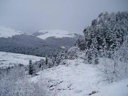 Веб камера лагонаки