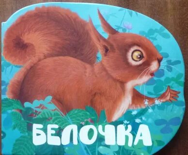 Книга белка