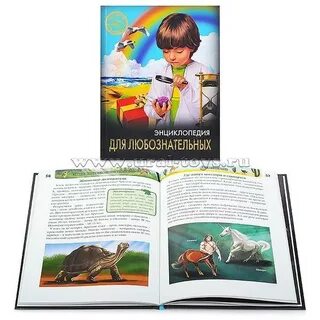 Весьма любознательный