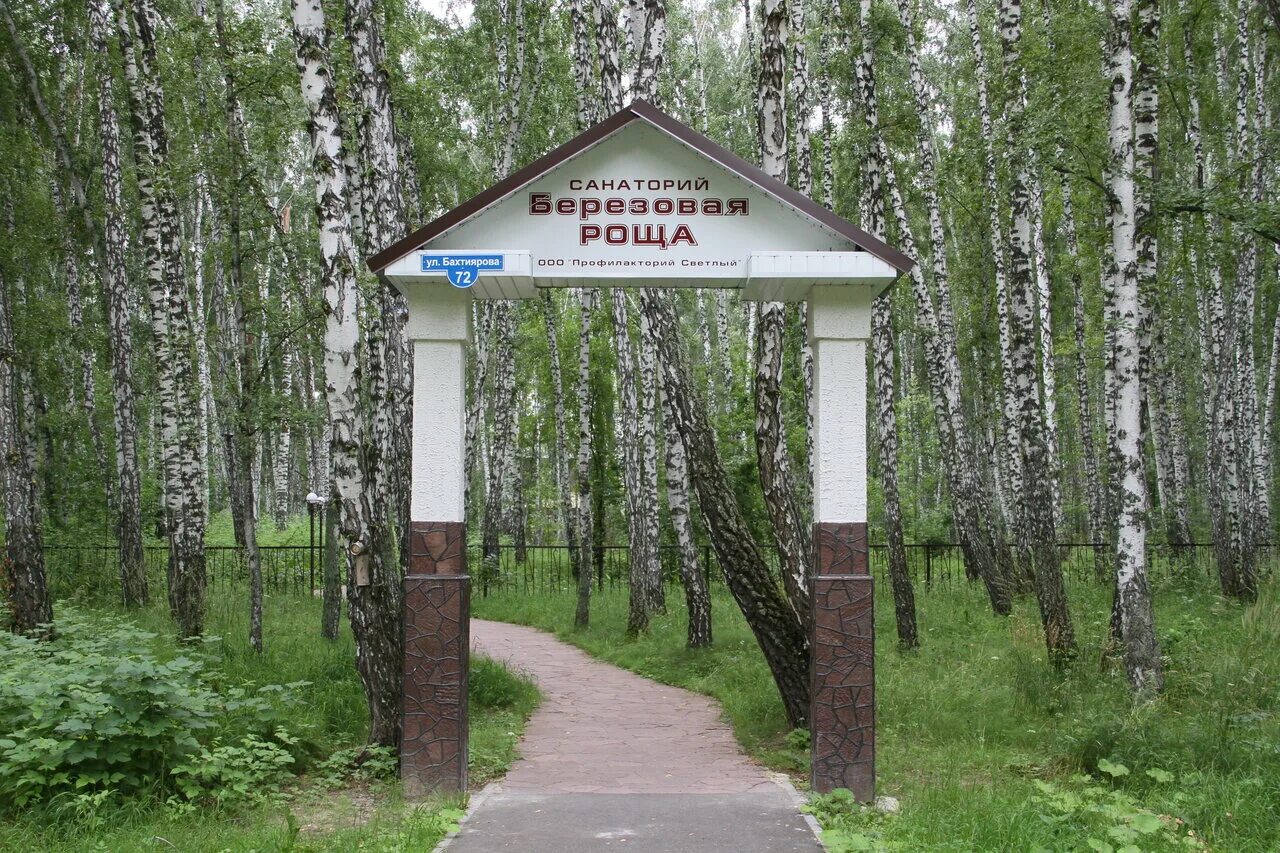 Путевки в березовую рощу