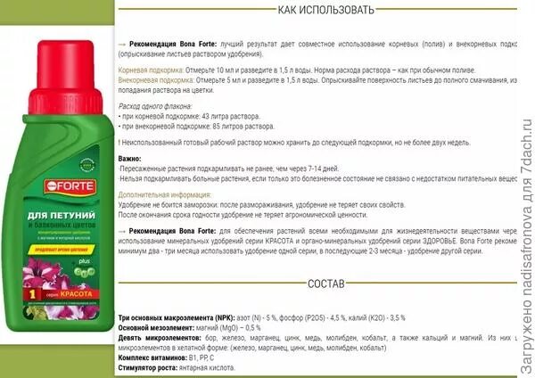 Какие удобрения вносить при посадке петунии. Удобрение для петунии bona forte для петуньи. таблица подкормок петунии.