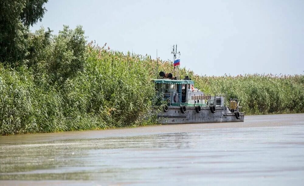Козинка астраханская область. Астраханская область дельта волги. Рп5 астрахань астраханская область володарский. Рп5 астрахань астраханская область володарский. Рп5 астрахань астраханская область володарский.