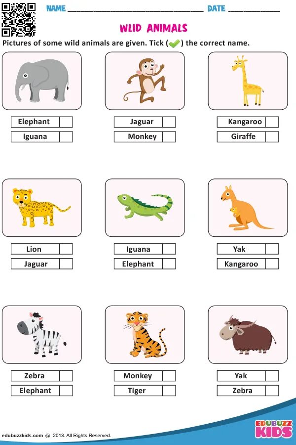 Write the names of the animals