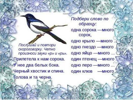 Сорока пожелание
