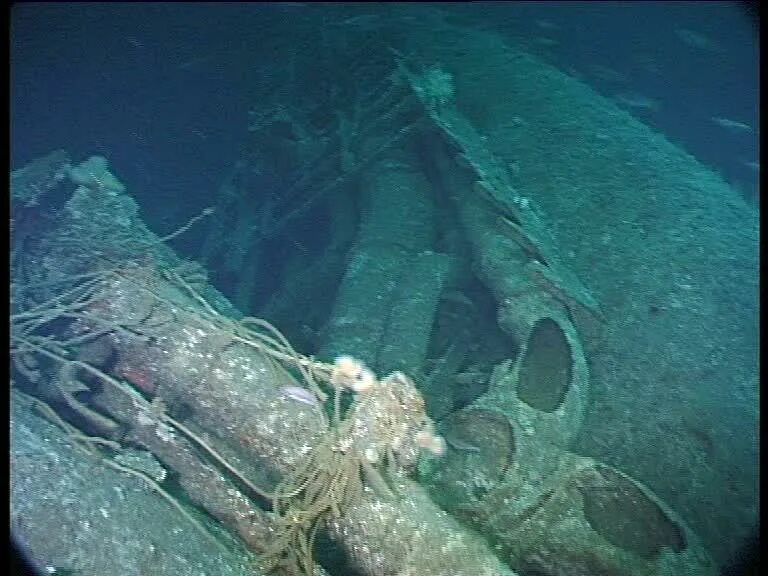 Подводная археология. Hunley останки экипажа. Затонувший корабль 17 века. Раскопки подводная лодка. L.