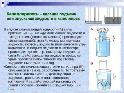 Поверхностное натяжение капиллярность 8 класс