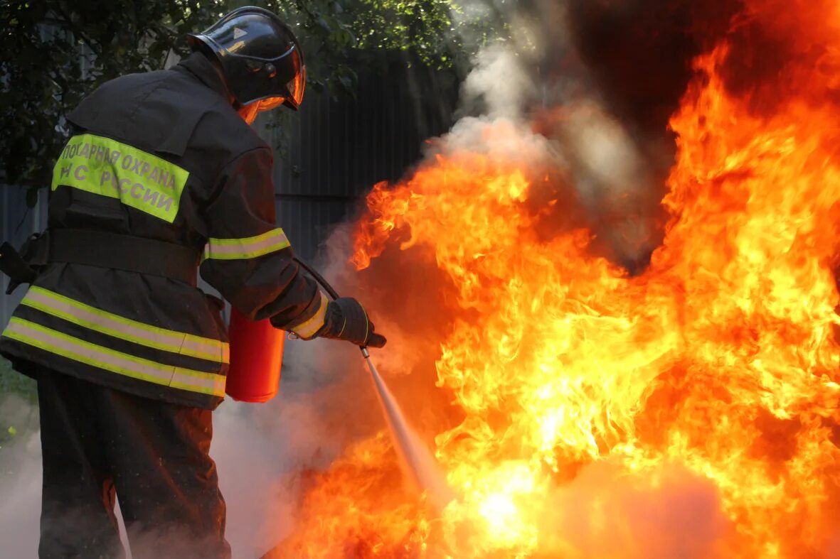 Вывод по пожарной безопасности. Поведение при пожаре в здании. Первичные средства пожаро тушения порошковые огнетушители. Тушить предложение. Как тушить огонь.