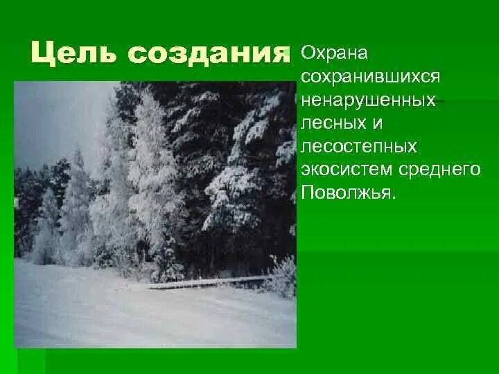 Волжско Камский заповедник цель создания. Волжско-Камский заповедник сотрудники. Биосферные заповедники Поволжья. Плакат по географии на тему Волжско Камский заповедник.