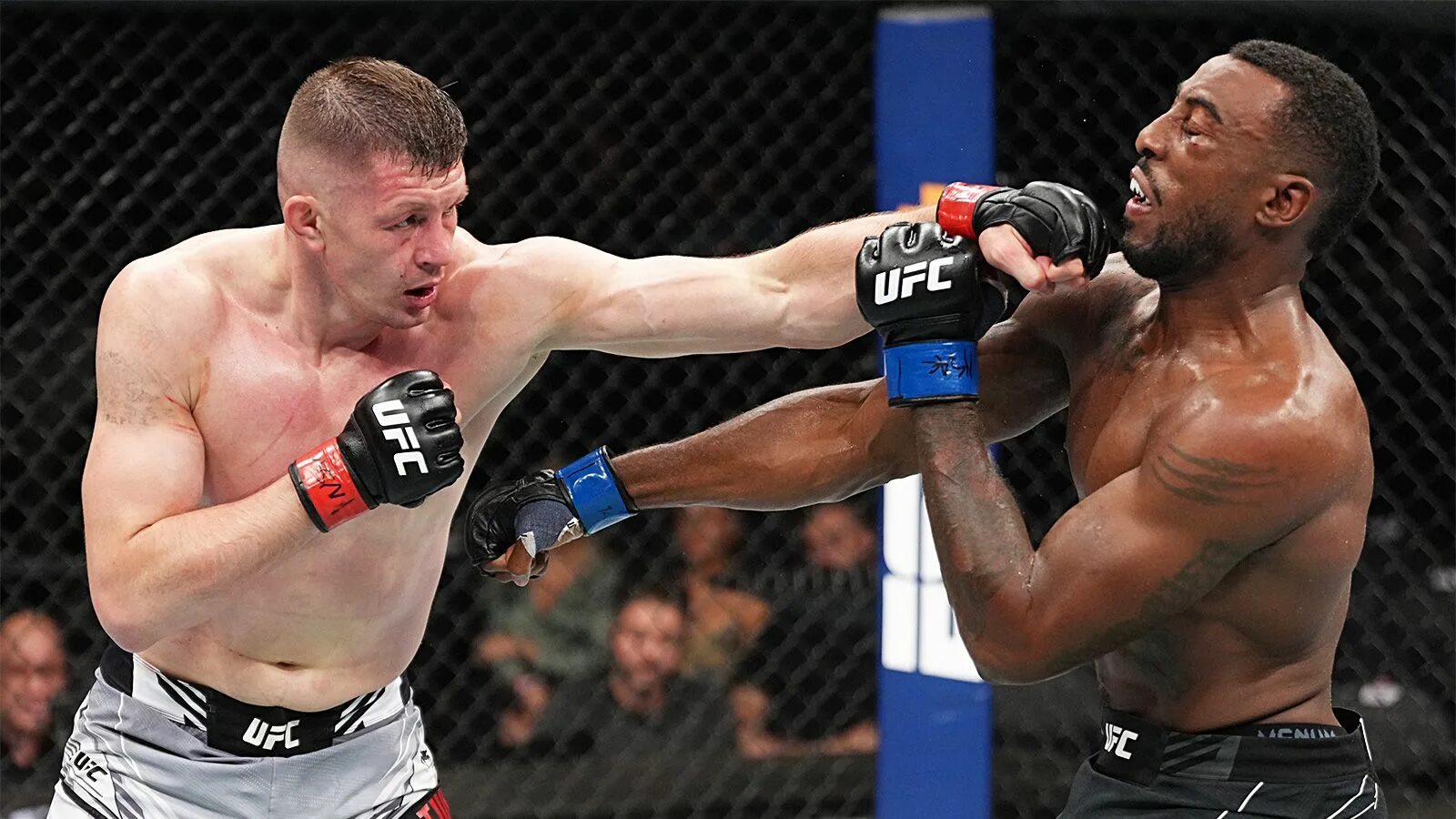 Ufc бой махачева. Бой в прямом эфире мпхва. Юфс тв прямой эфир. Масвидаль ковингтон. Юфс.
