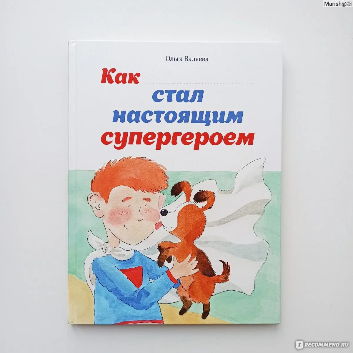 Путеводитель правильной жизни для ранкера 15. Стать настоящим книга. Валяева как я стал супергероем. Валяева как стал супергероем.