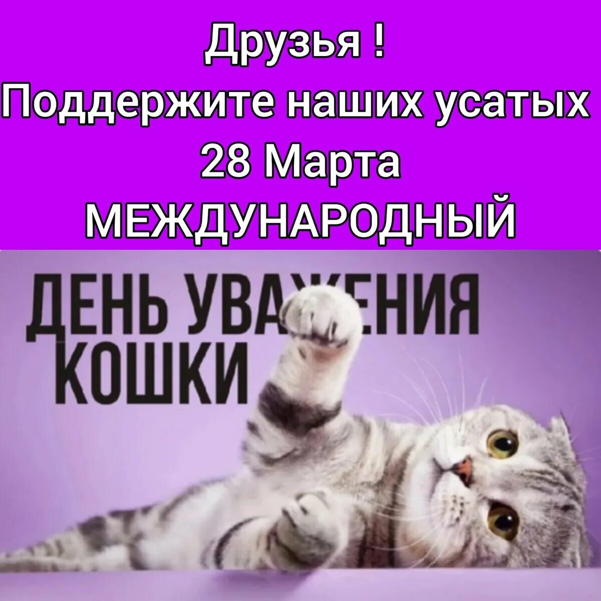 День уважения к кошке