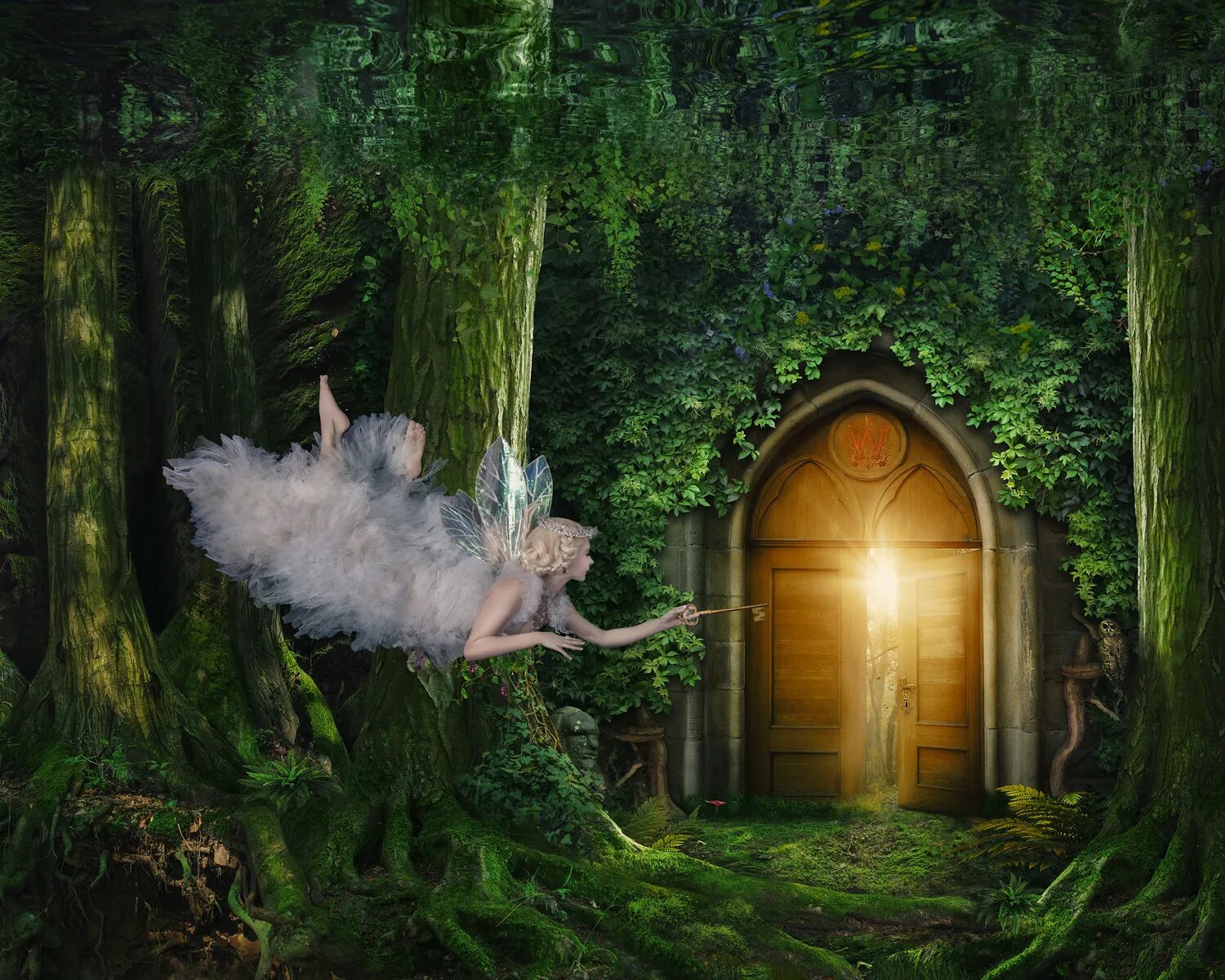 Retell the fairy. Волшебные феи. Мир фей. Дорин вёрче. Мир фей.