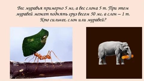 Какой слон сильнее