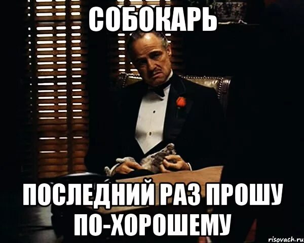 Как пишется досдать или доздать. Доздавать. доздать или досдать. доздавать как пишется. доздавать экзамен.