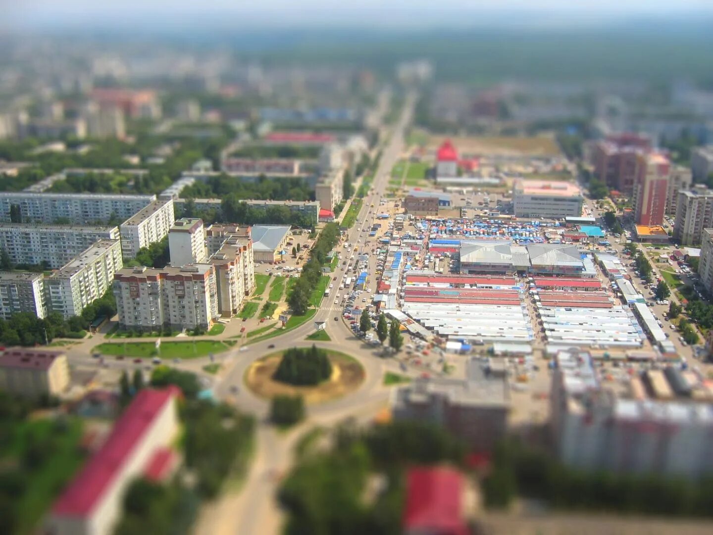 Сторис доваторцев