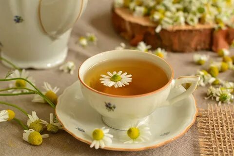 Чем полезен ромашковый чай