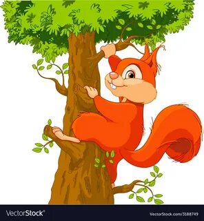 Squirrel on the tree vector image. 