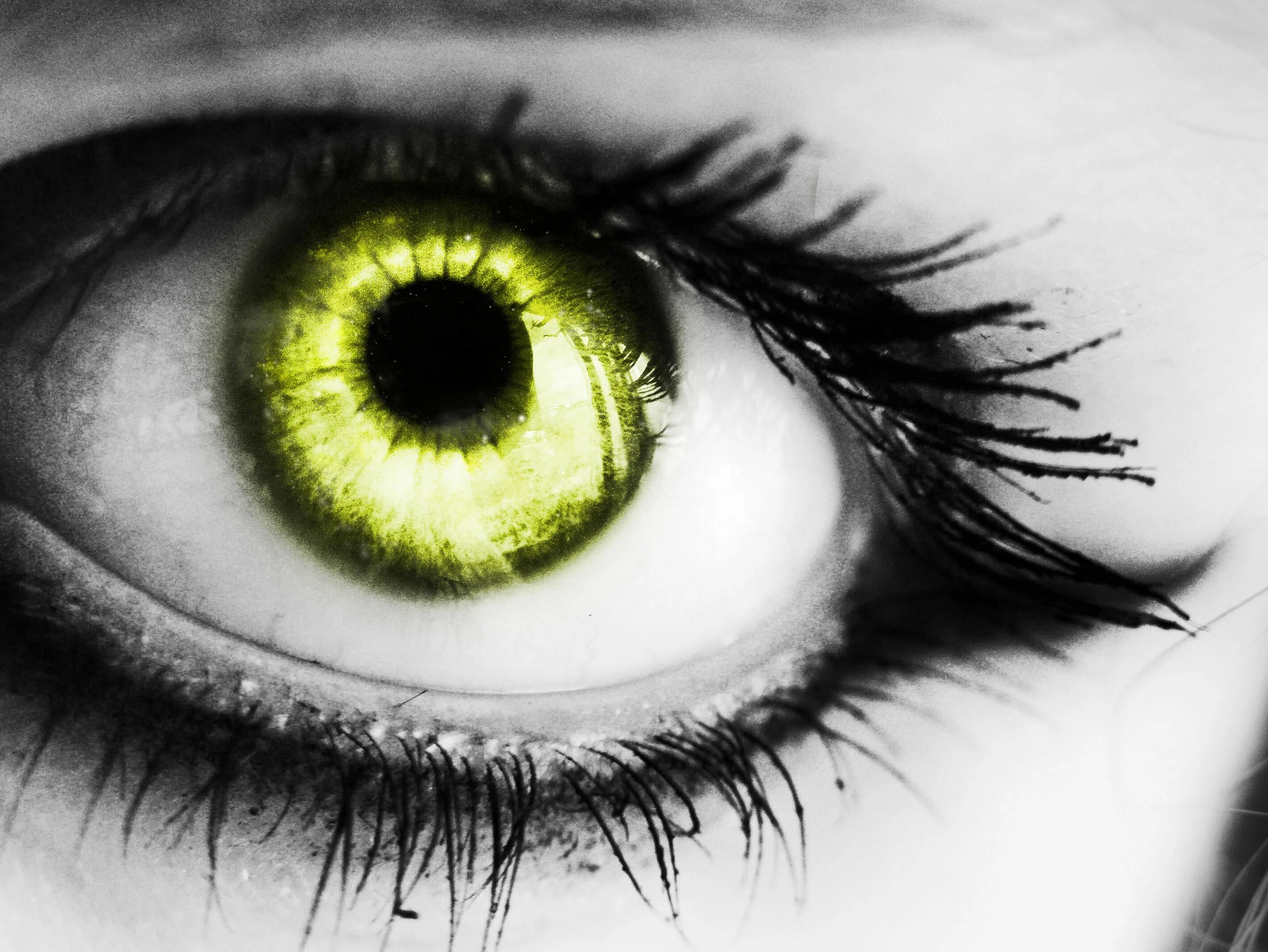 Включи картинку глаза. Цветные глаза. Желто зеленые глаза. Глаз картинка. Зелено оранжевые глаза.