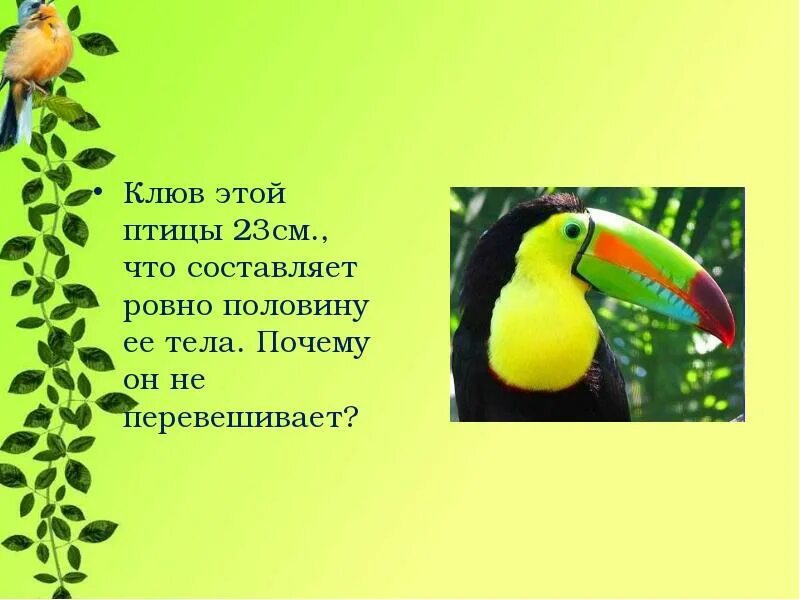 Загадка в воде живет нет клюва. Кто летает и поет с нами рядышком живет.