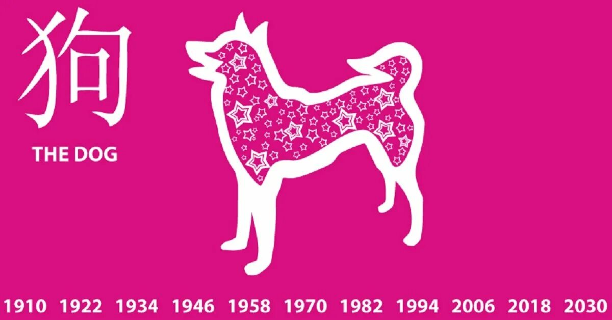 Какие года подходят год собаки. Китайский гороскоп собака. Восточный календарь собака. Года собаки по гороскопу. Собака знак восточного гороскопа.