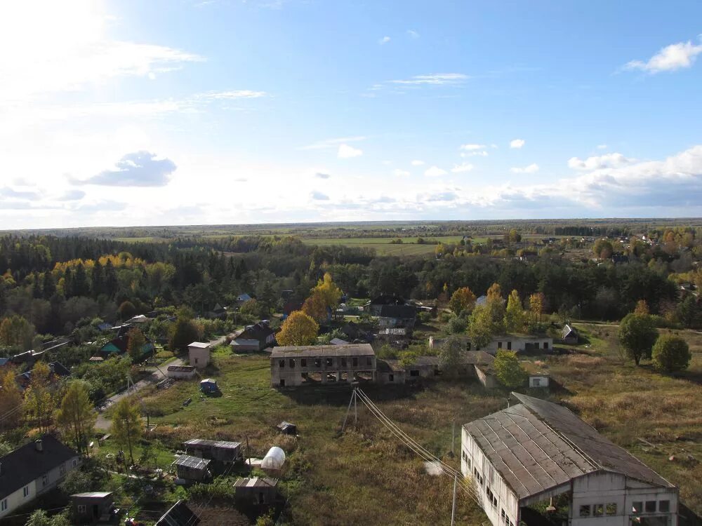 лужское поселение