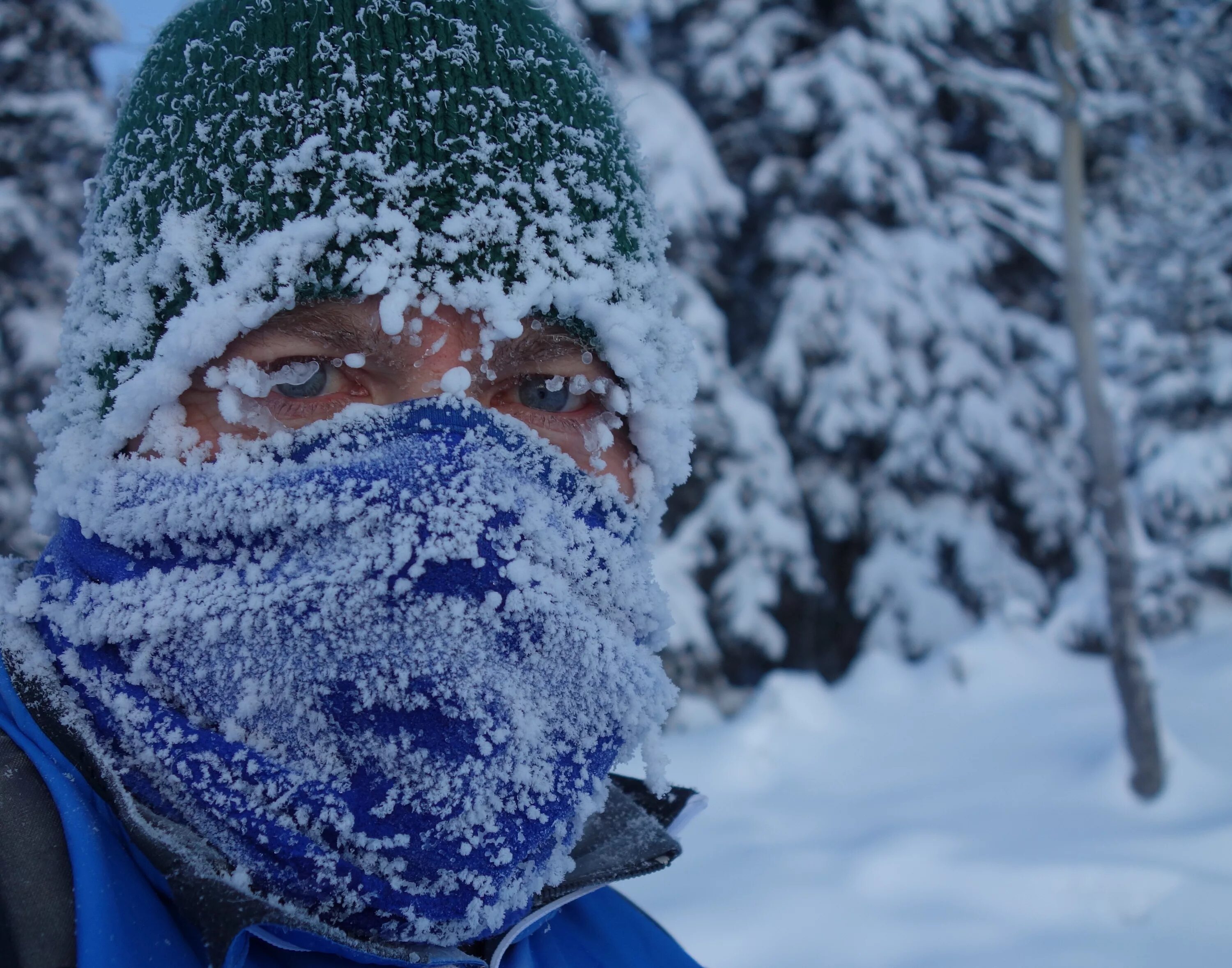 Russia winters are cold. Сильный Мороз. Холод. Холодный климат. Сильный Моро.