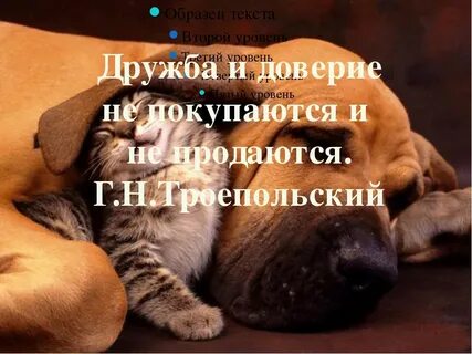 Доверяют поддерживают