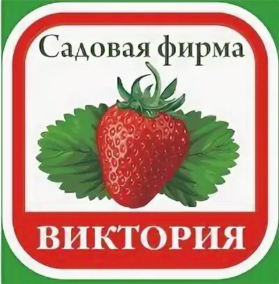 Каталог сад виктории. Каталог сад виктории. Сорт клубники азия. Каталог сад виктории. Каталог сад виктории.