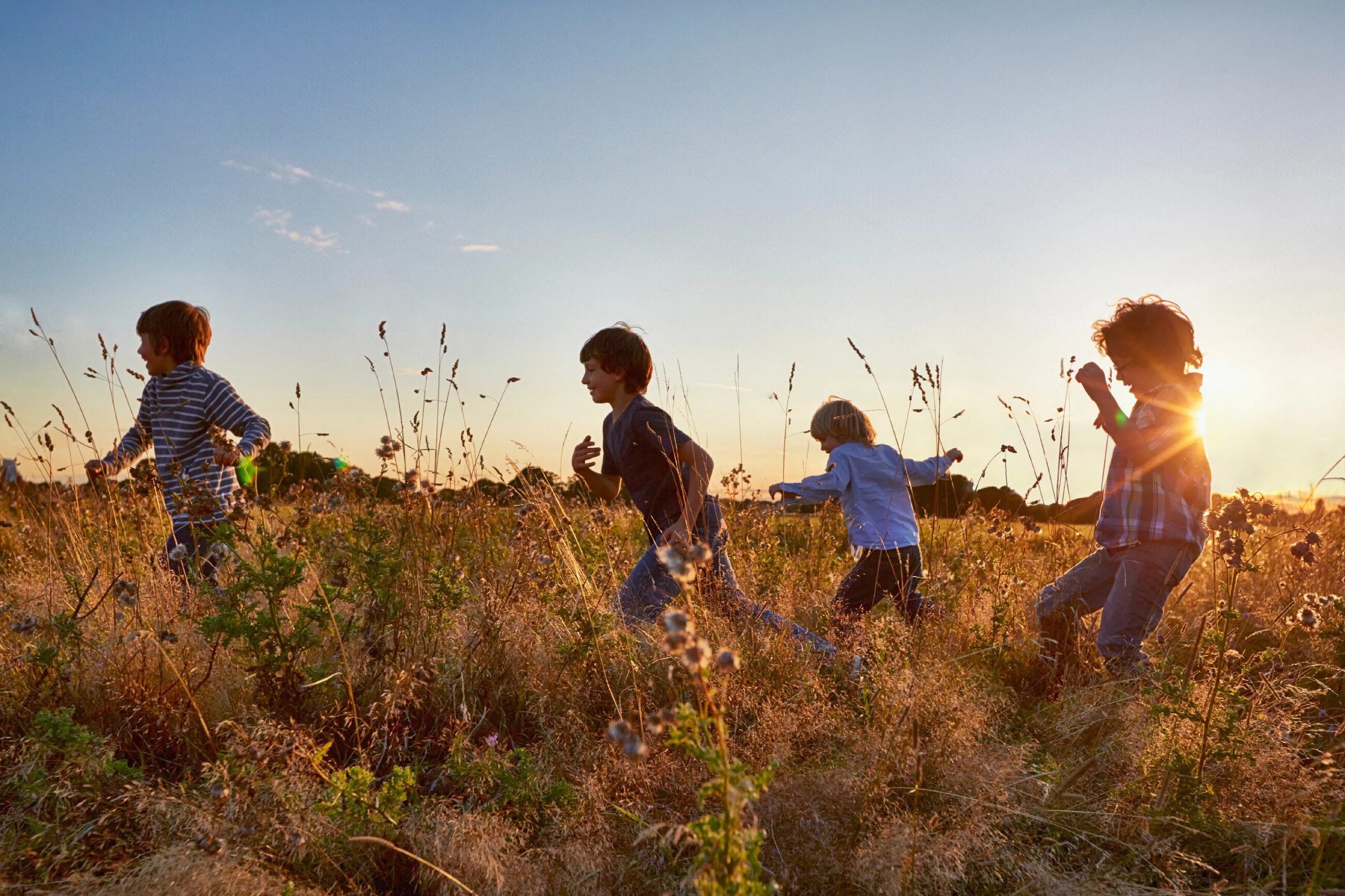 Field children. Дети бегут в поле. Дети бегают в поле. Мальчик бежит в поле. Лето дети.