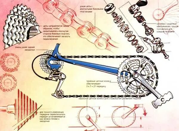 Как поставить заднюю скорость на велосипеде. Схема переключения велосипедных скоростей. Схема цепи велосипеда 21 скорость. Схема сборки переключателя скоростей. Механизм для переключения скоростей на велосипеде на заднем колесе.