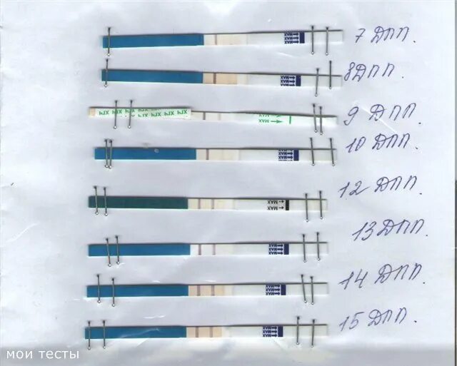 На 10 день после зачатия тест покажет. Тесты после оплодотворения. Тест на беременность после зачатия. Тест на беременность после оплодотворения. Тест на беременность по дням после зачатия.