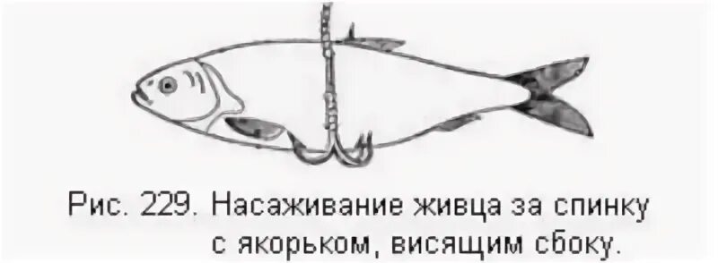 Читать живцов следак 5