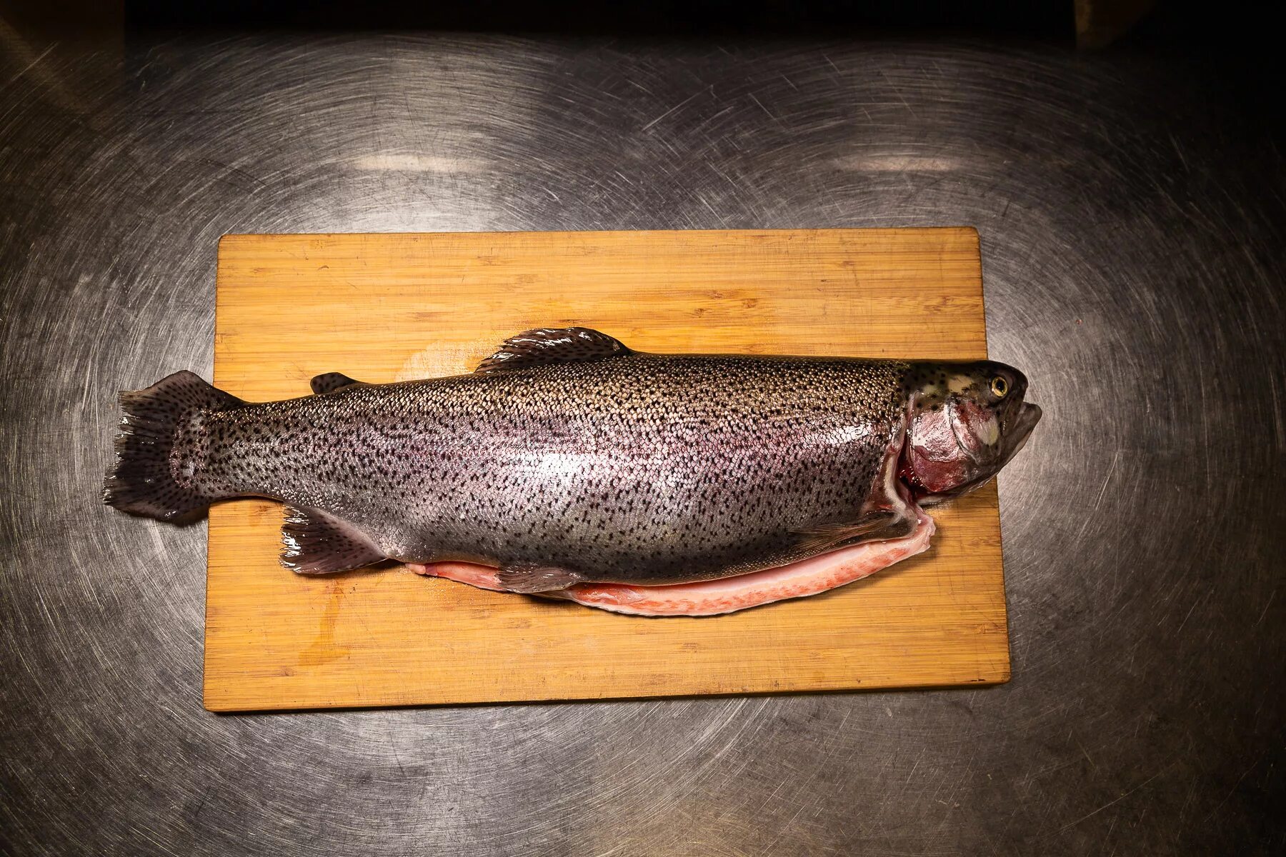 форель свежая. карельская форель непотрошеная. купить от экофиш форель в уфе адреса. какая форель лучше карельская или мурманская. форель охлажденная карелия.